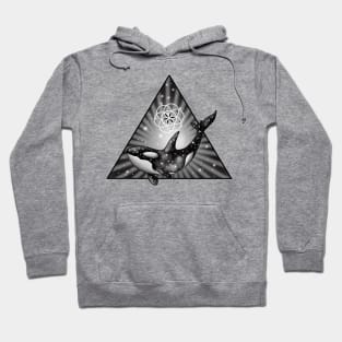 Triangle Space Orca Hoodie